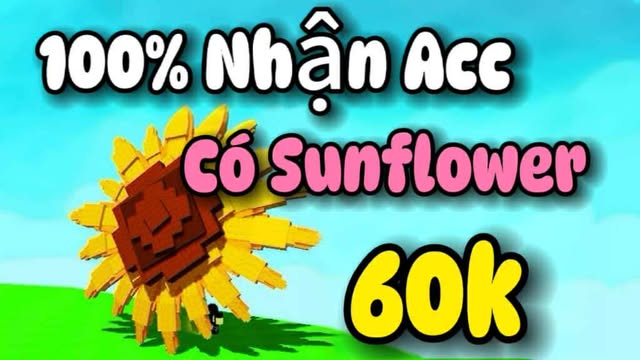 RANDOM SUNFLOWER TỪ 1 - 7 CÂY