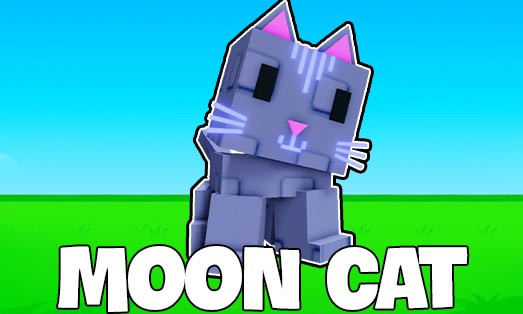 PET MOON CAT