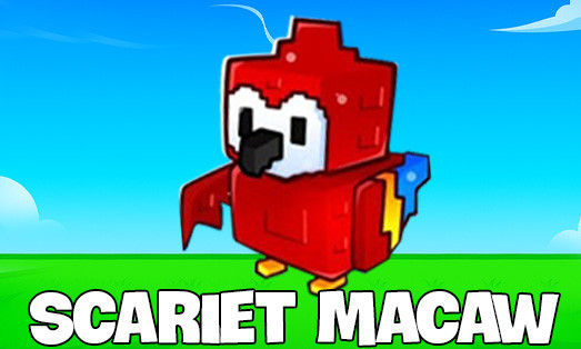 PET SCARIET MACAW